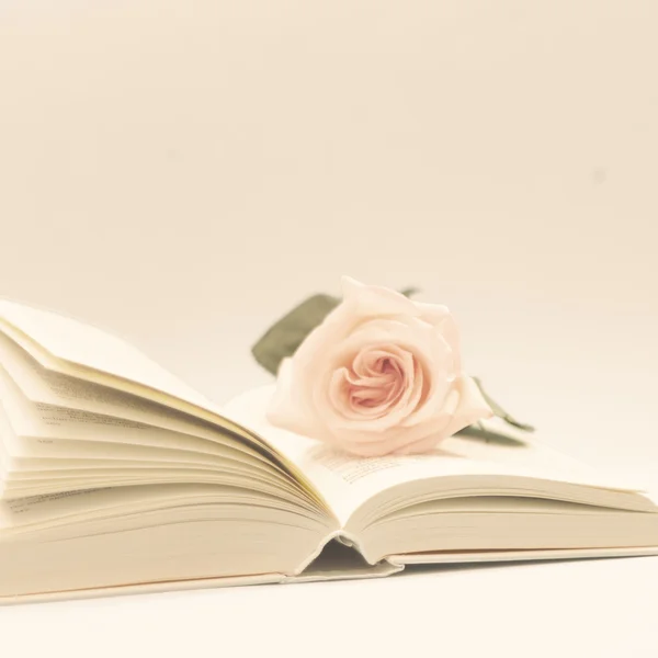 Opened book with rose — Stock Photo, Image