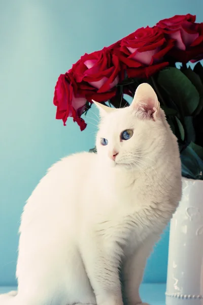 Vit katt och bukett rosor — Stockfoto