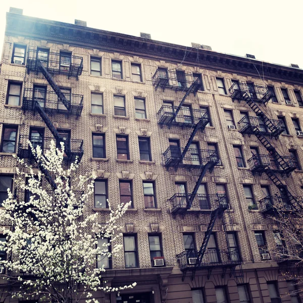 New York City and cherry blossom — Stock Photo, Image