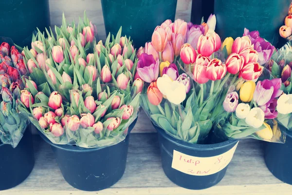 Tulipani in vaso su strada — Foto Stock