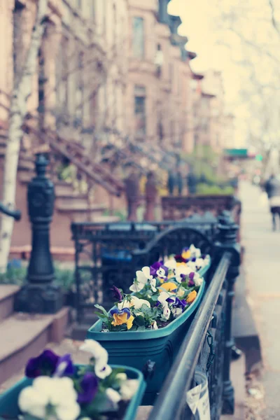 Flores perto de edifício da cidade de Nova York — Fotografia de Stock