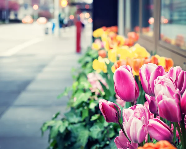 Tulipány na ulici v New York City — Stock fotografie