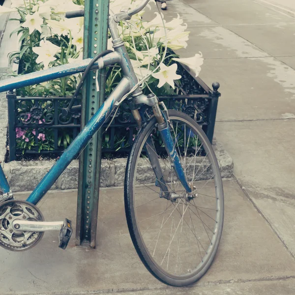 Fahrrad in der Nähe von Blumen abstellen — Stockfoto