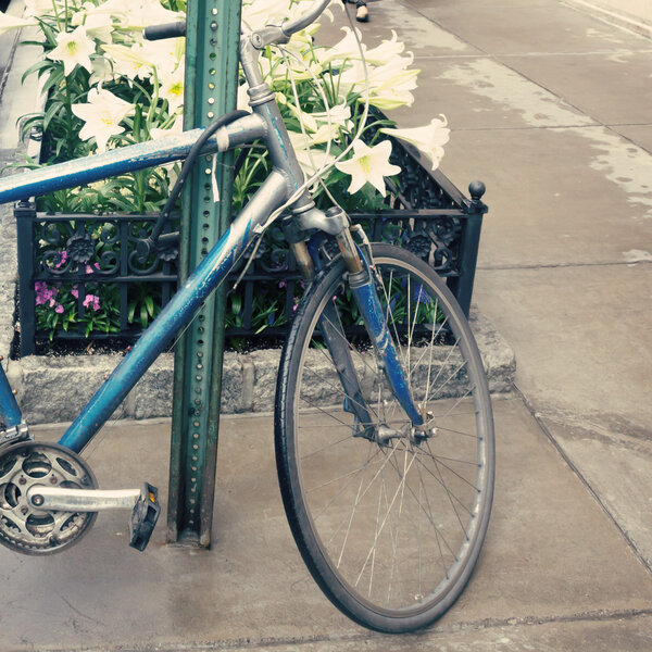 Parking bicycle near flowers