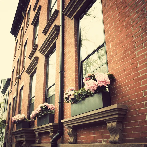 Blommor på Fönstren av byggnad — Stockfoto