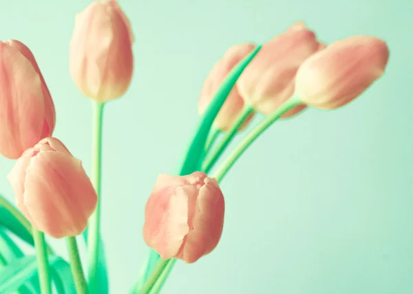 ピンクのチューリップの花束 — ストック写真