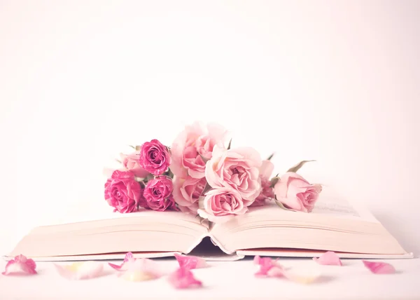 Pivoines roses et roses sur le livre — Photo