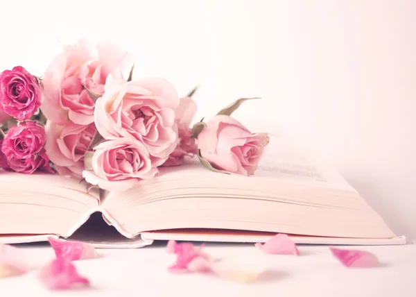 Pivoines roses et roses sur le livre — Photo