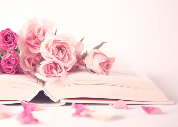 Pivoines roses et roses sur le livre — Photo