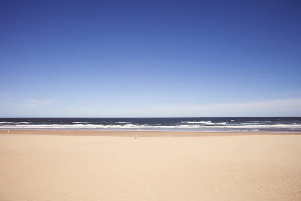 Praia de verão vazia — Fotografia de Stock