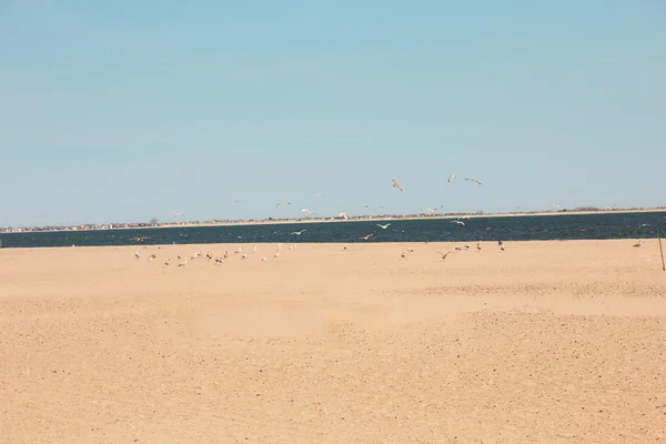 Vintage zomer strand — Stockfoto