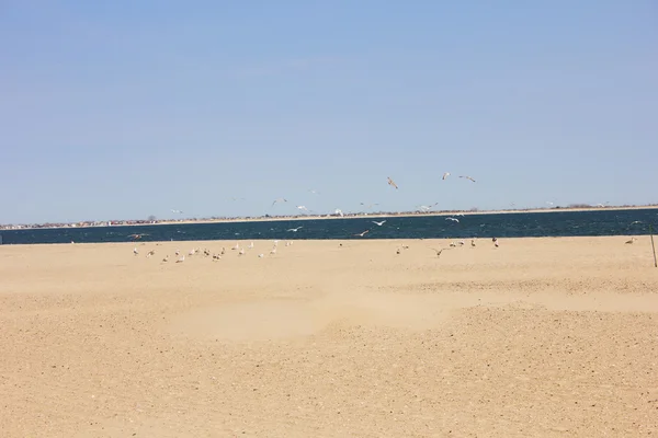 复古夏日海滩 — 图库照片