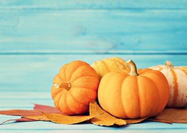 kabaklar masada yaprakları ile