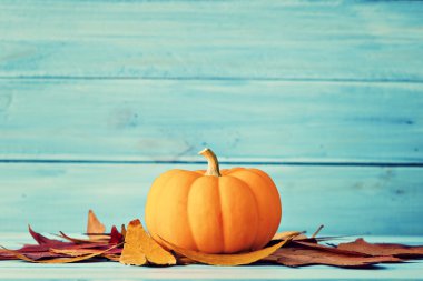 Kabak ile tablo yapraklarda