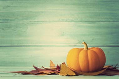 Kabak ile tablo yapraklarda