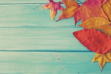 ahşap masa yapraklarda