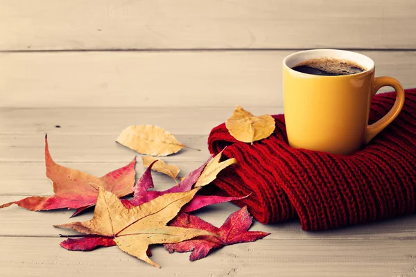 Taza de café en bufanda y hojas —  Fotos de Stock