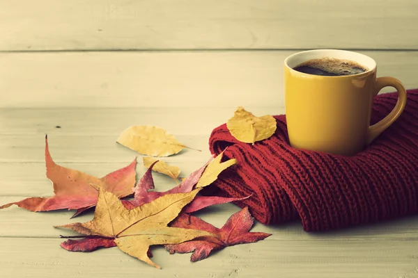스카프와 잎에는 커피 한잔 — 스톡 사진