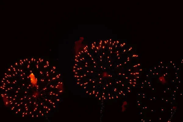 Kleurrijk vuurwerk aan de nachtelijke hemel — Stockfoto