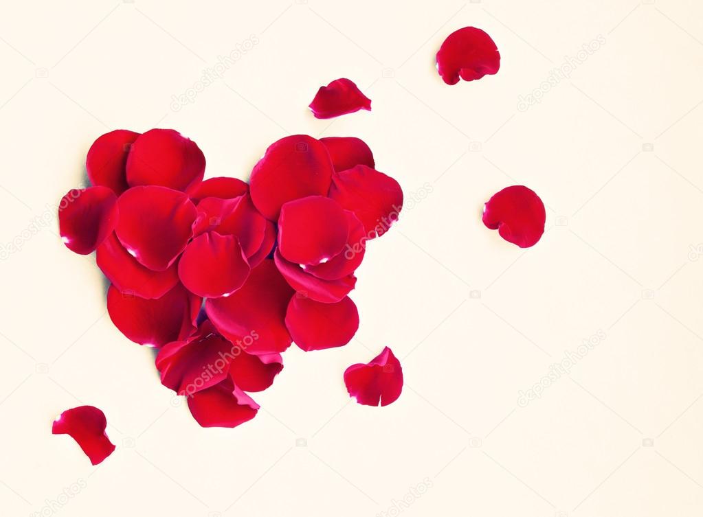 roses petals in heart shape