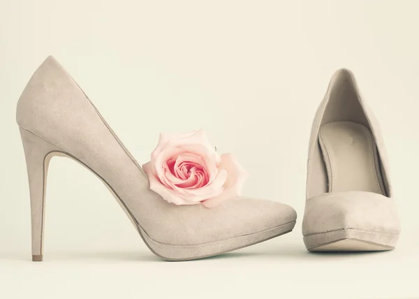 Talons roses et rose — Photo