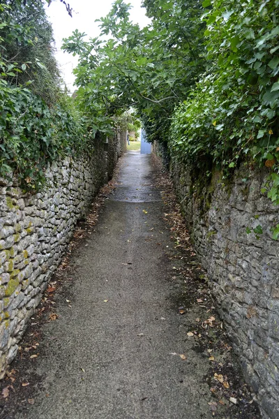 Path antara dua dinding dengan ivy — Stok Foto