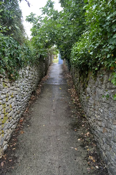 Camino entre dos paredes con hiedra — Foto de Stock