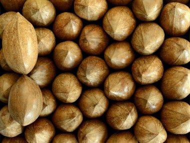 iki pekan Fındık ceviz fındık üzerinde