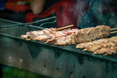 Kızarmış et Shashlyk sıcak kömürün üstünde ızgarada pişiyor. Izgara et şiş kebap.