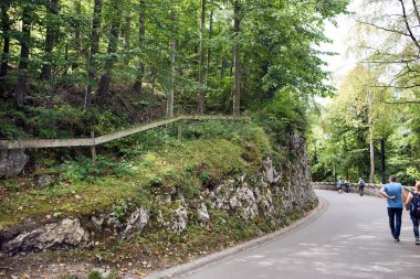 Münih, Almanya - 13 Eylül 2018: Neuschanstein kalesine giden yol..