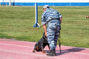 Bir polis memuru uyuşturucu, silah ve patlayıcı bulmak için bir köpeği eğitiyor..
