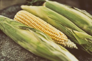 corncobs ahşap tablo