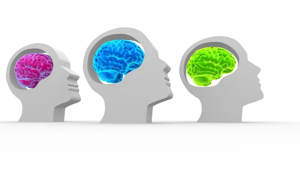 Human heads with brain — Stock Photo, Image