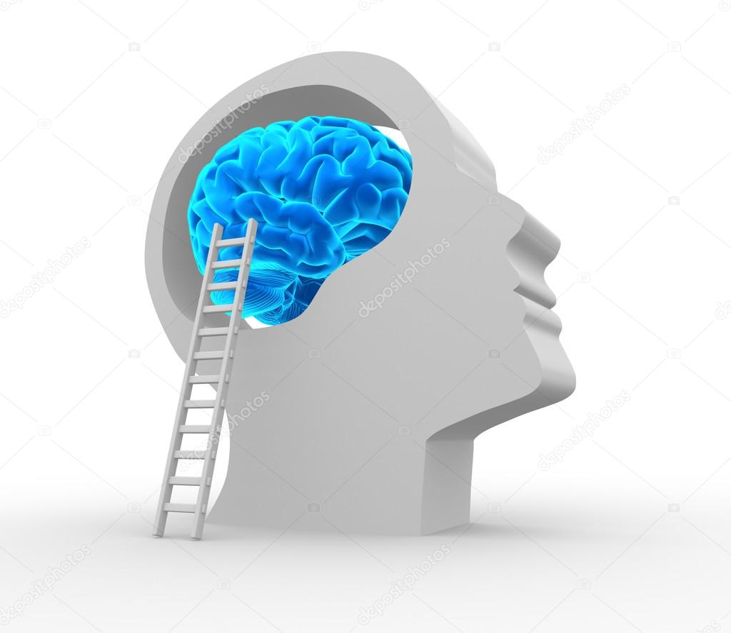 Human head with brain and ladder