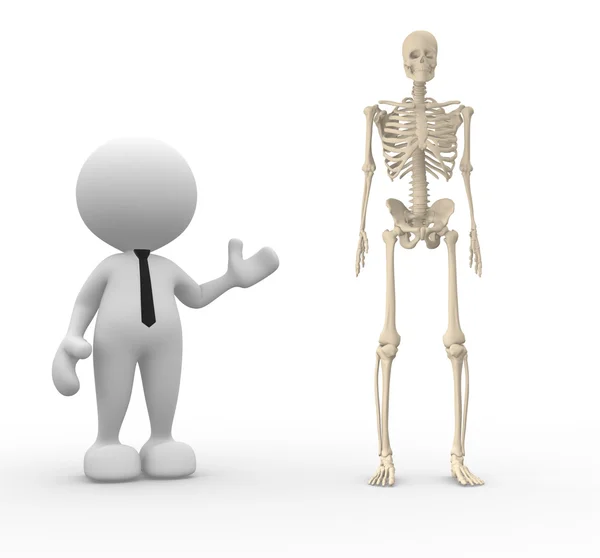 Person with anatomy skeleton — Stock Photo, Image