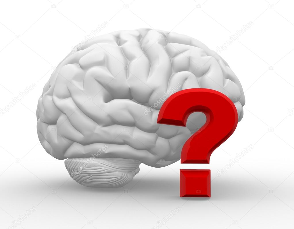 Brain questions