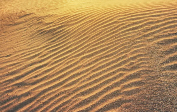 ゴールドの波状砂 — ストック写真