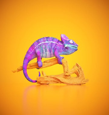 A chameleon with purple and blue patterns rests on a wooden branch. The bright orange backdrop enhances the chameleon's colors, creating a lively atmosphere. This is a 3d render illustration