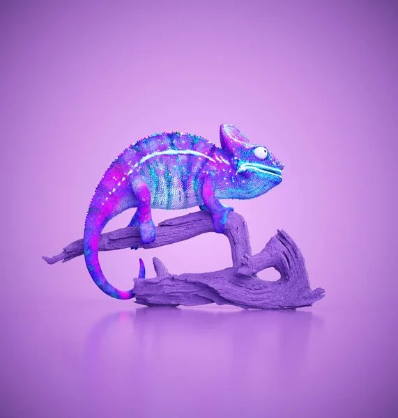 Canlı bir bukalemun, mor bir arka planda stilize bir dala dayanır. Renkli cildi parlıyor, parlak ışık altında pembe ve mavinin tonlarını gösteriyor. Bu 3D bir çizim.