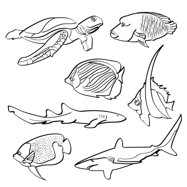 Colección de peces — Archivo Imágenes Vectoriales