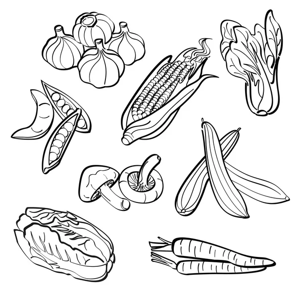 Vegetables Set — Stock Vector