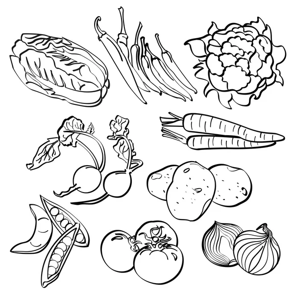 Σύνολο λαχανικά — Διανυσματικό Αρχείο