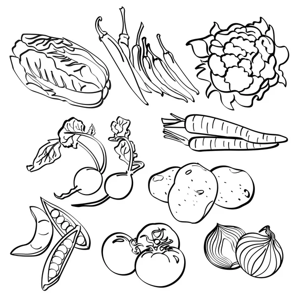 Vegetables Set — Stock Vector