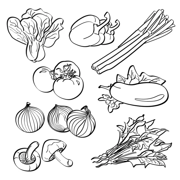 Vegetables Set — Stock Vector