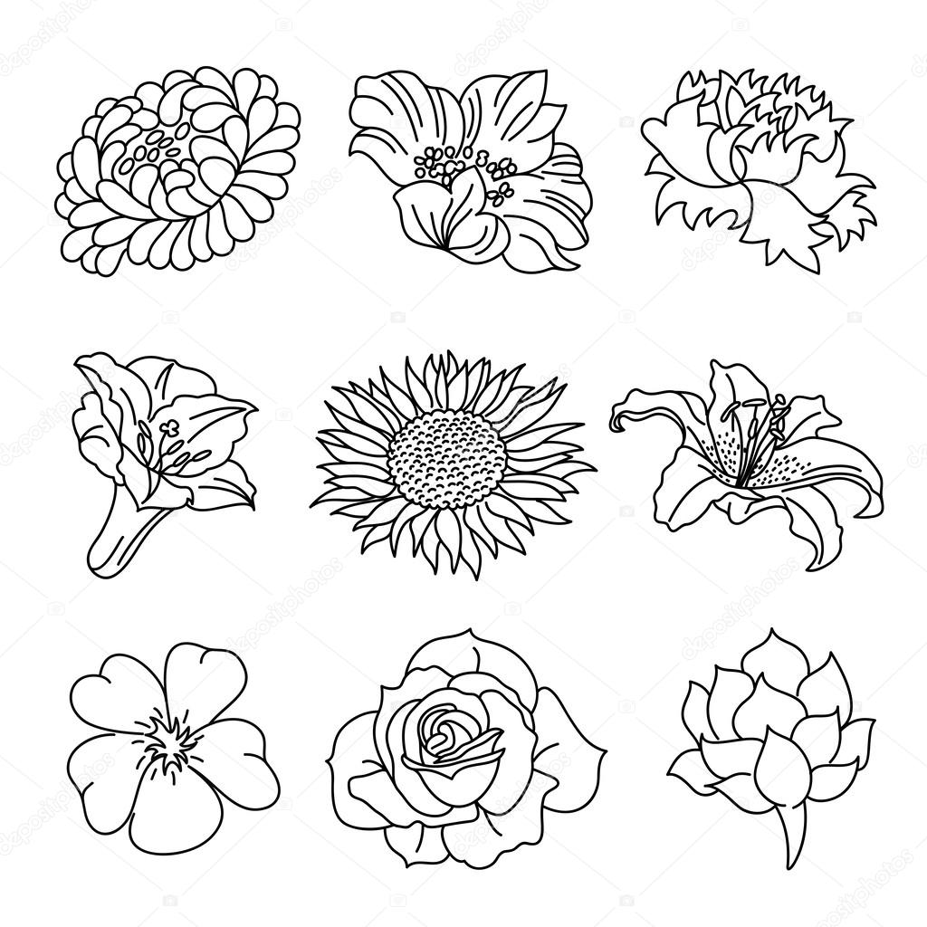Tipos De Flores Dibujo 101,058 ilustraciones de stock de Flor de icono | Depositphotos