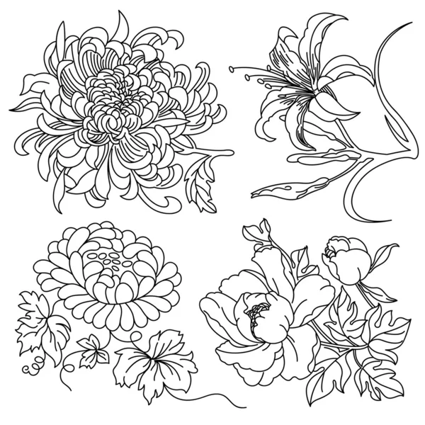 Bloemen collectie Stockvector