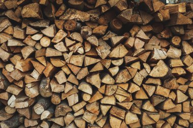 chica morena acostada sobre las almohadas de tigre con una guitarra eléctrica