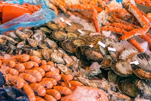 Buz deniz ürünleri. Bergen'in Balık pazarı, Norveç