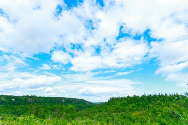 Alan arka plan mavi gökyüzü üzerinde taze çimen