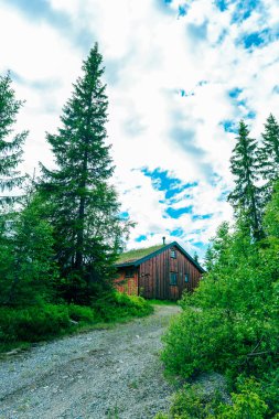 geleneksel Norveç ahşap ev